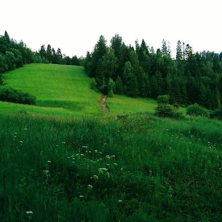 Domek W Gorach Pod Rysianka Zlatna Luaran gambar